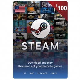 Steam 100 Dollars USA