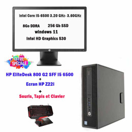 HP EliteDesk 800 G2 SFF I5 6500 + Ecran HP Z22i